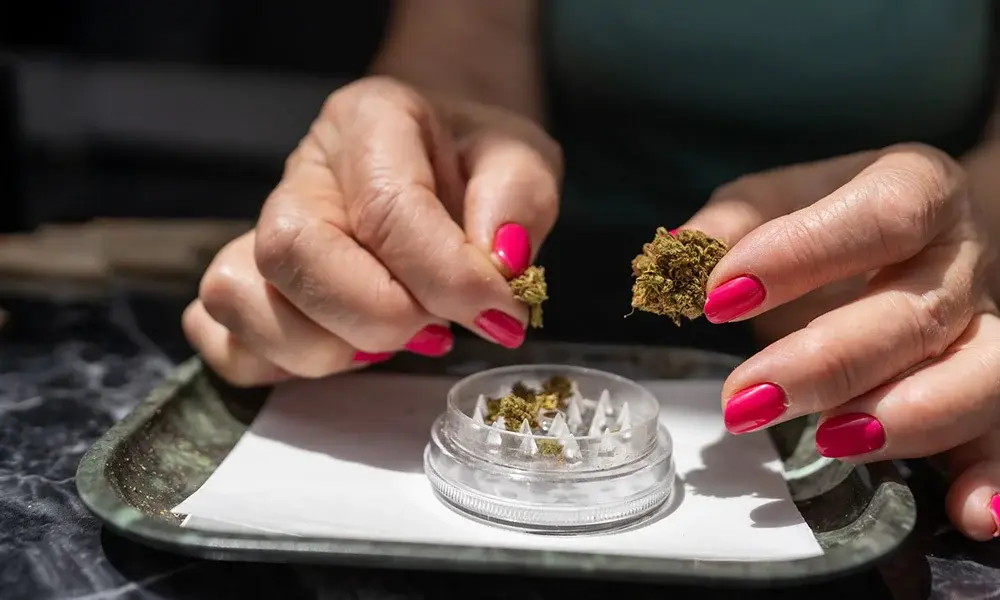 special 3384747 photo