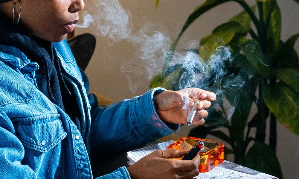 special 3384672 photo