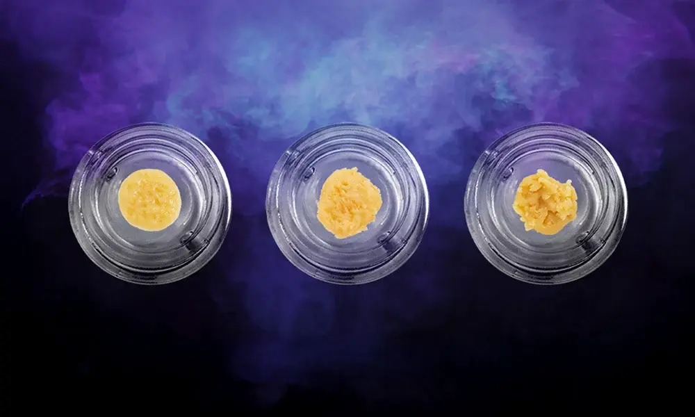 special 3331631 photo