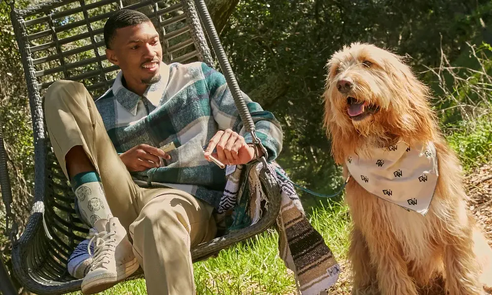 special 3314219 photo