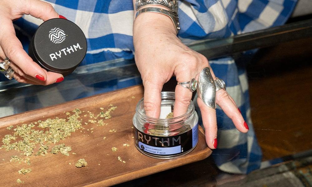 special 3385886 photo