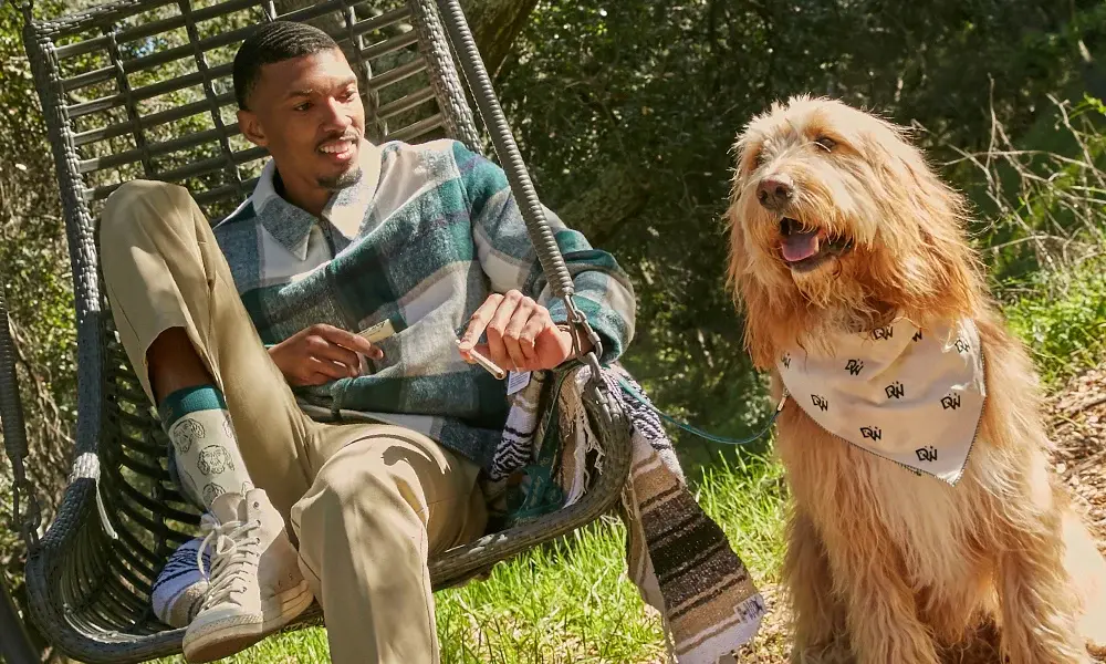 special 3385195 photo