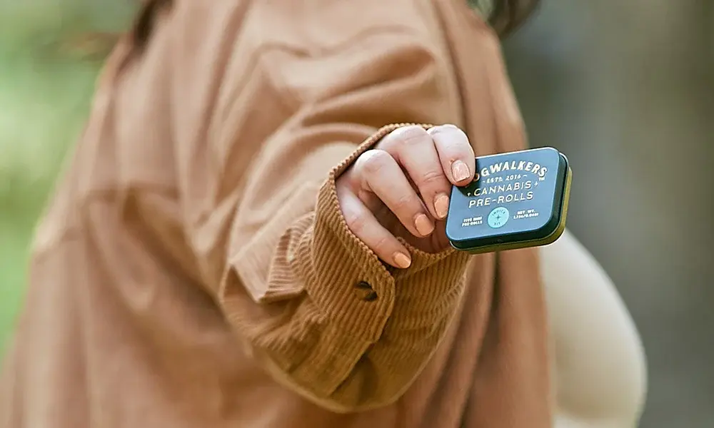 special 3353968 photo